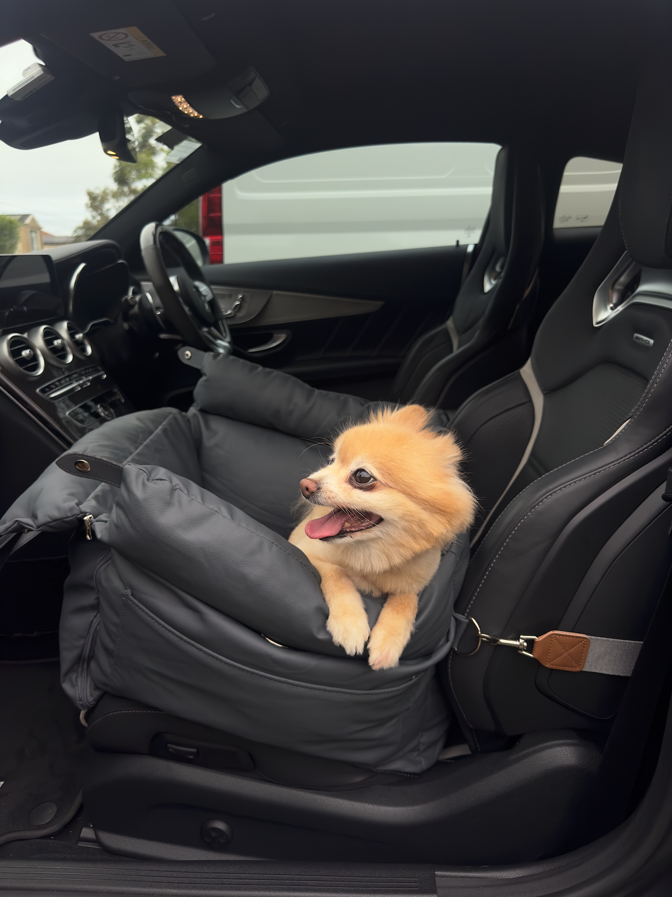 Dog Travel Bed